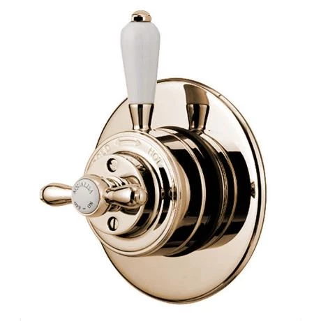 Aqualisa - Aquatique Thermo Concealed Thermostatic Valve with 5" Drencher Head & Arm - Gold - 500.00.04-550.04 4 Aqualisa - Aquatique Thermo Concealed Thermostatic Valve with 5" Drencher Head & Arm - Gold - 500.00.04-550.04 - Image 2