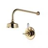 Aqualisa - Aquatique Thermo Concealed Thermostatic Valve with 5" Drencher Head & Arm - Gold - 500.00.04-550.04 1 Aqualisa - Aquatique Thermo Concealed Thermostatic Valve with 5" Drencher Head & Arm - Gold - 500.00.04-550.04 -Shower Sets Shop 500.00.04 550.04 P