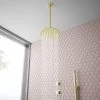 Arezzo Brushed Brass Concealed Individual Diverter + Thermostatic Control Valve with Handset + Ceiling Mounted Shower Head 1 Arezzo Brushed Brass Concealed Individual Diverter + Thermostatic Control Valve with Handset + Ceiling Mounted Shower Head -Shower Sets Shop ARZB ISV PK2 n p