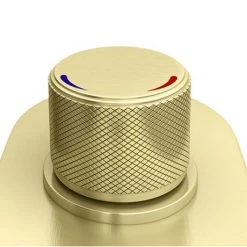 Arezzo Brushed Brass Industrial Style Push Button Shower Valve with Diverter, Handset, Fixed Shower Head + 4 Body Jets -Shower Sets Shop AZPB03RBBPK D2 460