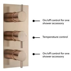 Arezzo Rose Gold Round Thermostatic Shower Pack with Wall Mounted Head + Handset 12 Arezzo Rose Gold Round Thermostatic Shower Pack with Wall Mounted Head + Handset -Shower Sets Shop AZRGSPK4 detail4 460