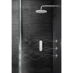 Crosswater - Dial Central 2 Control Shower Valve with 3 Body Jets, Fixed Head & Arm -Shower Sets Shop DIAL CENT 10 D1 460