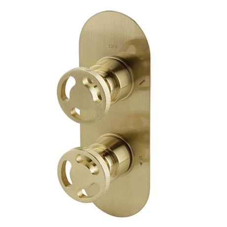 Arezzo Brushed Brass Industrial Style Shower System with Concealed Valve, Head + Handset 4 Arezzo Brushed Brass Industrial Style Shower System with Concealed Valve, Head + Handset - Image 2