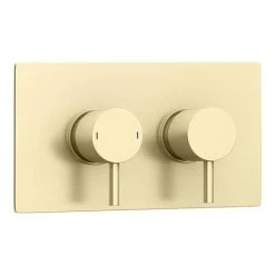 Arezzo Brushed Brass Round Thermostatic Shower Pack with Head + Handset 12 Arezzo Brushed Brass Round Thermostatic Shower Pack with Head + Handset -Shower Sets Shop RD4BBPK nw d2 460